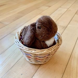 American Girl - Julie’s bunny, Nutmeg